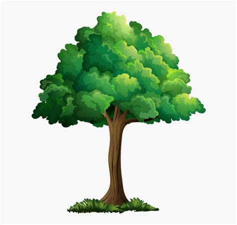 cartoon tree|realistic cartoon tree.